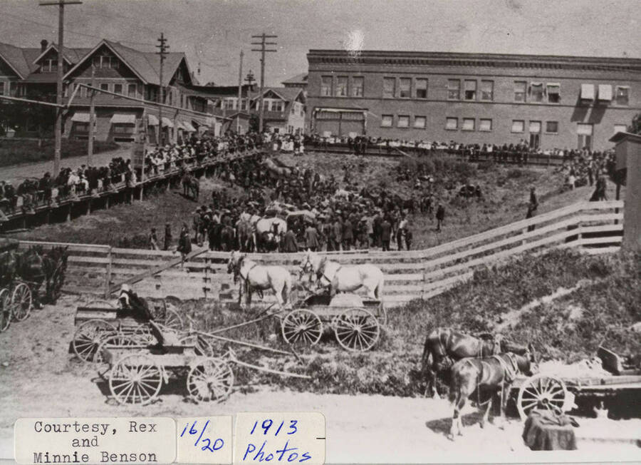 A photograph of a livestock sale in Potlatch, Idaho.