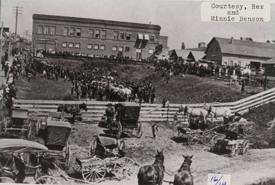 A photograph of a livestock sale in Potlatch, Idaho.