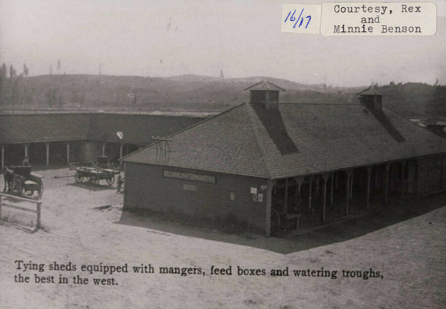 A photograph of tying sheds that were 'the best in the west.' They were equipped with mangers, feed boxes and water troughs.