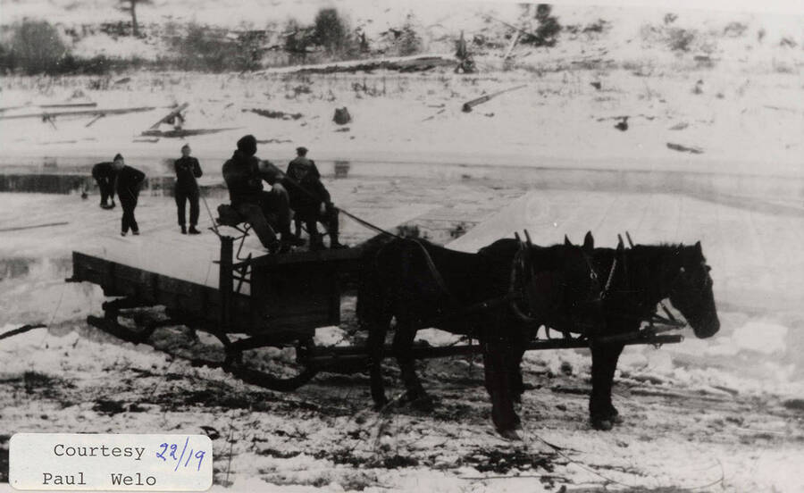 A photograph of the horses and sleigh used to haul cut ice.
