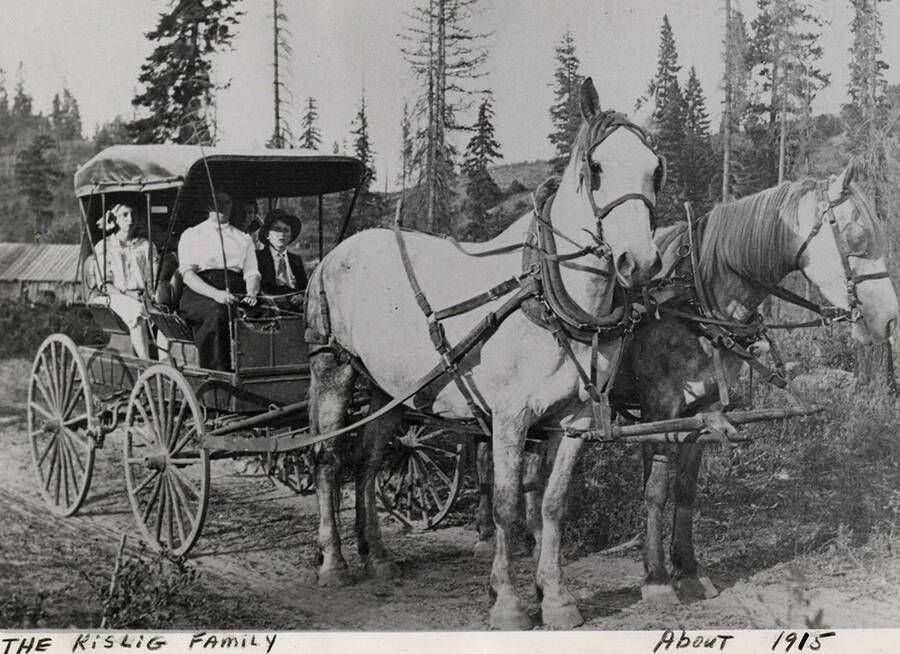 A photograph of the Kislig family in a carriage drawn by two horses.  Mrs. Kislig is driving the carriage. Leta, Art and Edith Kislig are passengers