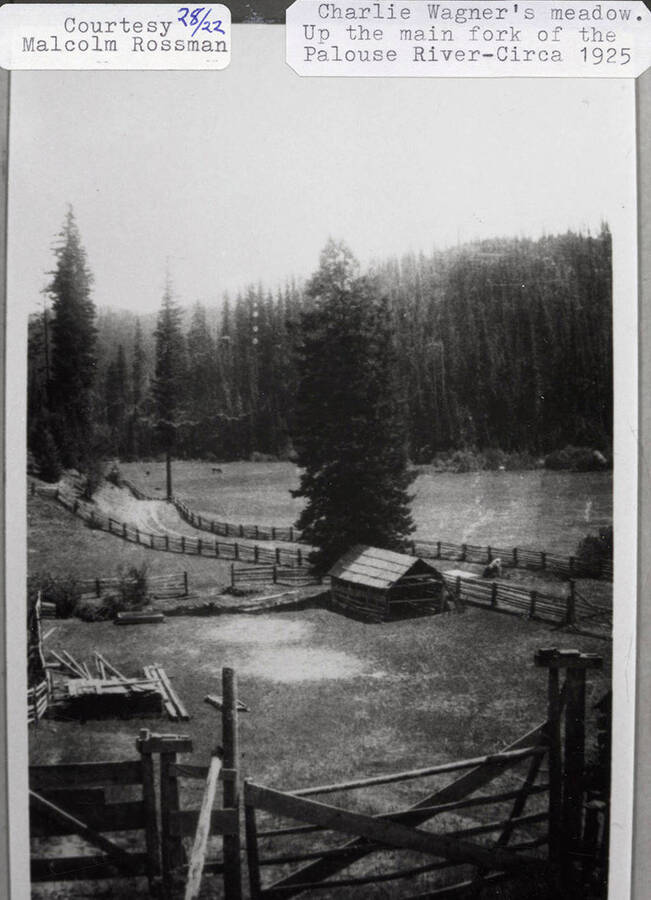 A photograph of Charlie Wagner's meadow up the main fork of the Palouse River circa 1925.