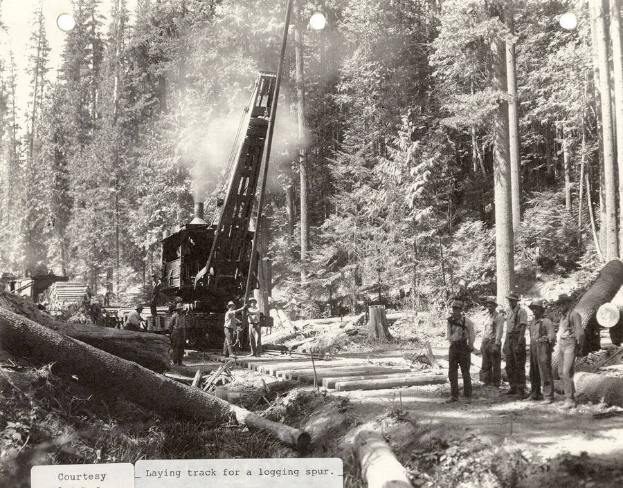 Men using a logging spur to lay new track for a railroad.
