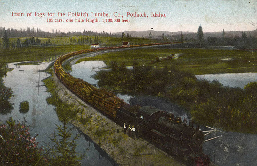 View of a train of logs for the Potlatch Lumber Company. The train consisted of 105 cars and measured one mile in length. A few men can be seen standing next to the locomotive.