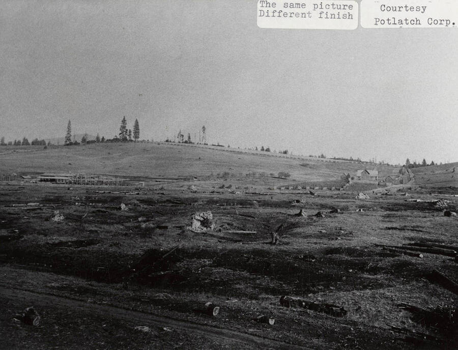 A duplicate photograph of the Potlatch Town-Site with a different finish.