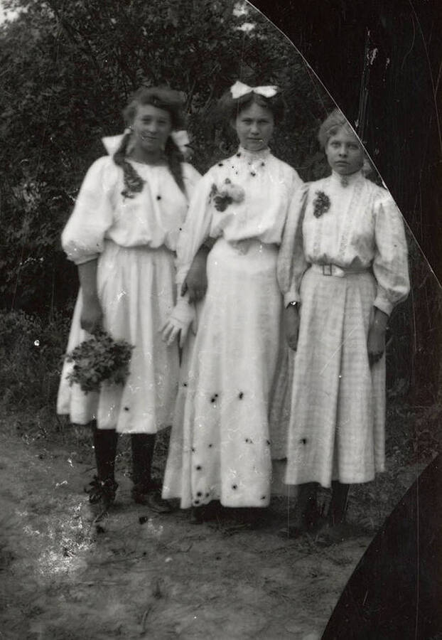 A photograph of three unknown women.
