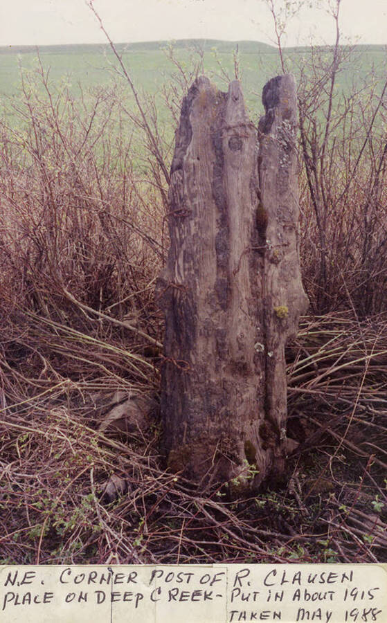 A post on the North East corner of the R. Clausen place on Deep Creek.  The post as installed around 1915.  The photograh was taken in May, 1988