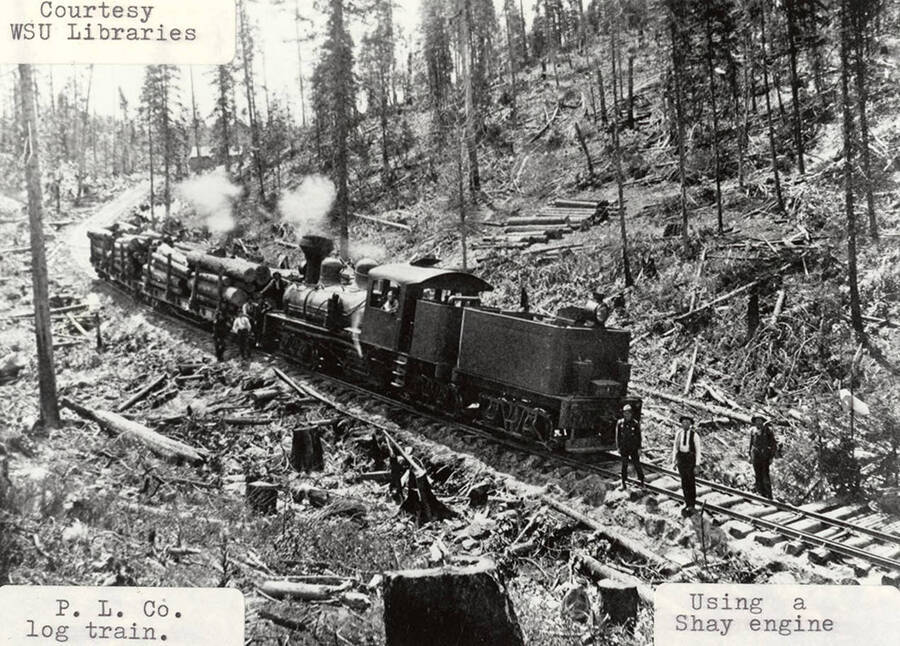 View of a log train using a Shay engine to haul logs. Men can be seen standing on the tracks next to the locomotive.