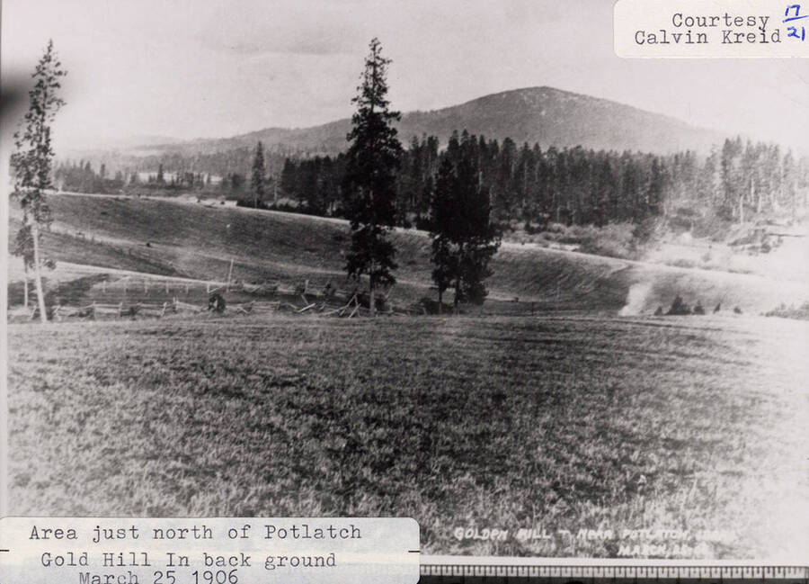 A photograph of an area north of Potlatch with Gold Hill in the background.