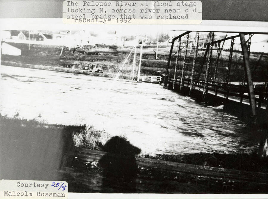 A photograph looking north across the flooding Palouse River by the steel bridge.