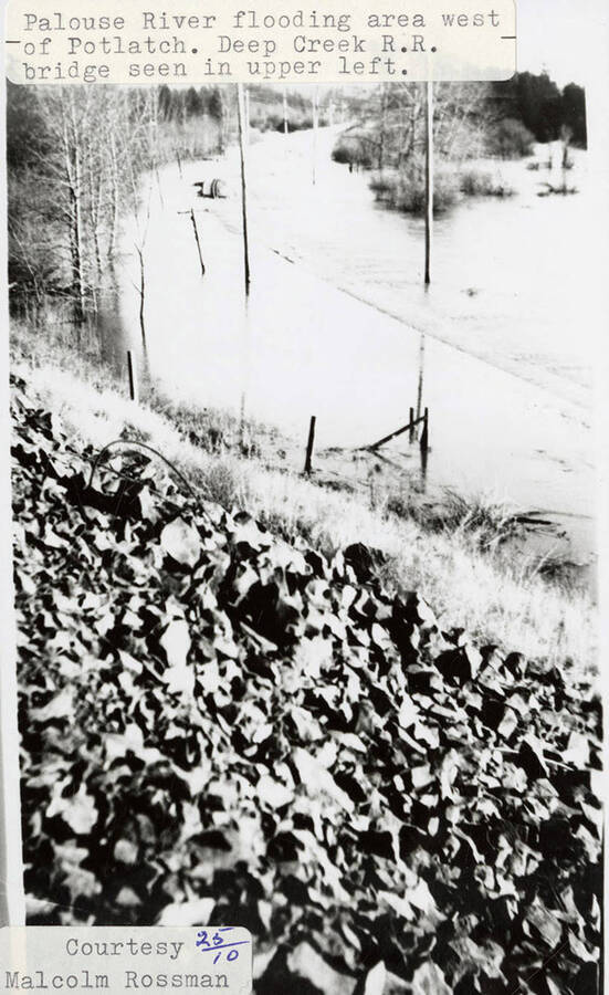 A photograph of the flooding area for the Palouse River west of Potlatch. Deep Creek R.R. bridge seen in upper left.