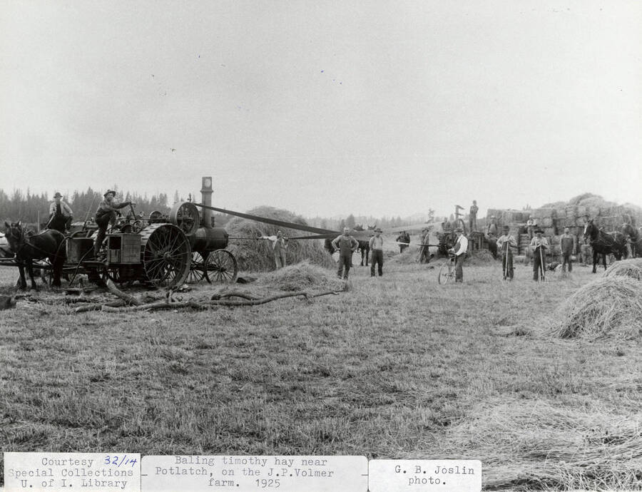 A photograph of a team of farmers baling timothy hay near Potlatch on the J.P. Volmer farm.