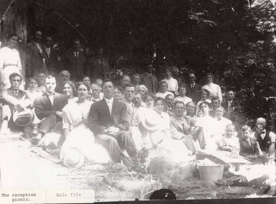 A photograph of the reception picnic of the Ruhl Wedding.
