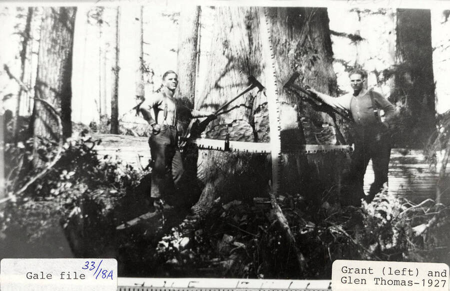 Grant (left) and Glen Thomas standing at the base of a tress holding axes.