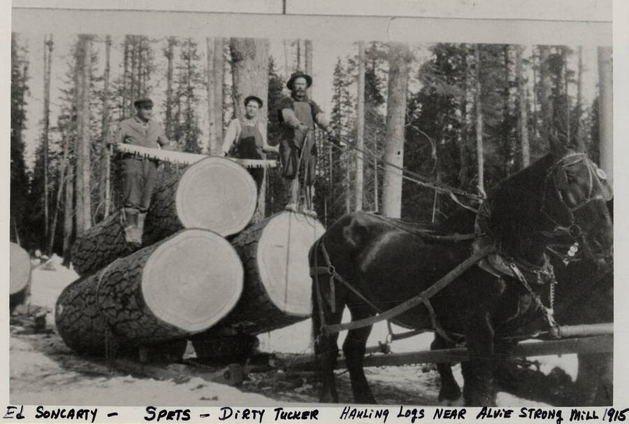 Ed Soncarty, Spets, and Dirty Tucker hauling logs near Alive Strong Mill.