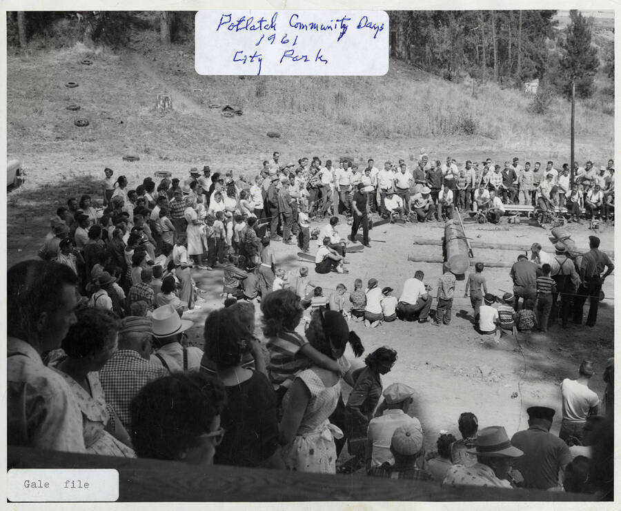 A photograph of Potlatch Community Days at the City Park