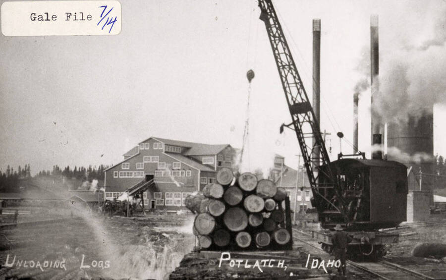 View of a machine loading logs onto a railroad car.