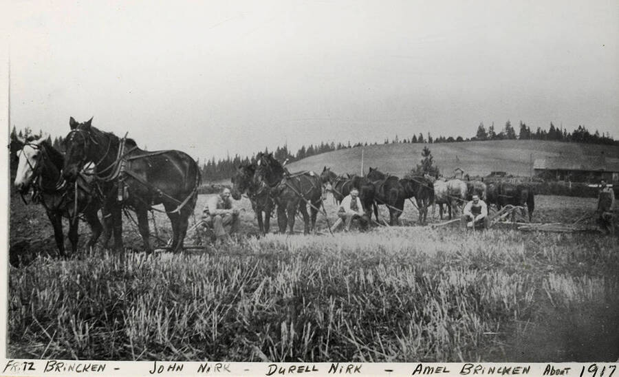 Fritz Brincken, John Nirk, Durell Nirk, Amel Brincken and  several teams of draft animals. Photograph taken about 1917.