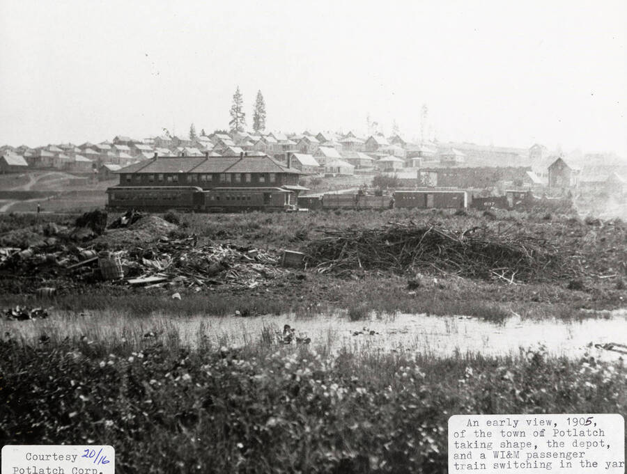 View of the town of Potlatch, Idaho as it was taking shape. The depot can be seen, along with a WI&M passenger train switching in the yard.