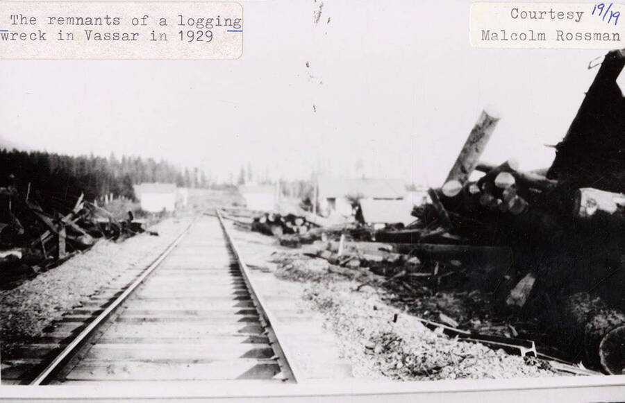 The remnants of a logging wreck in Vassar. Logs can be seen piled up next to the railroad tracks/