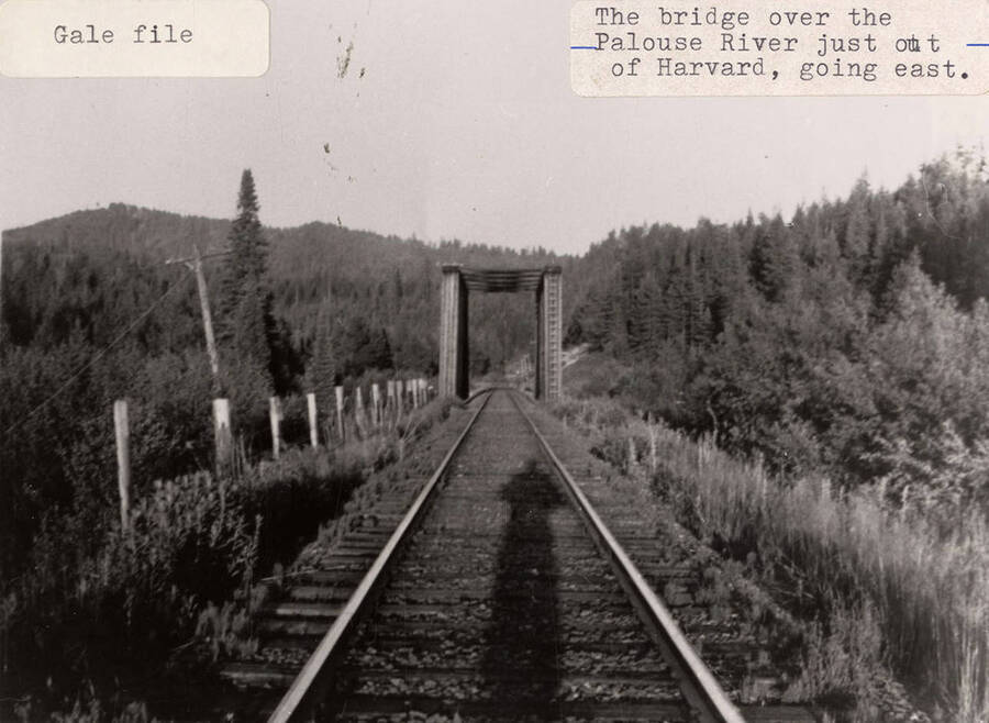 View of the bridge over the Palouse River, going East, just out of Harvard, Idaho. Trees can be seen lining the railroad tracks.