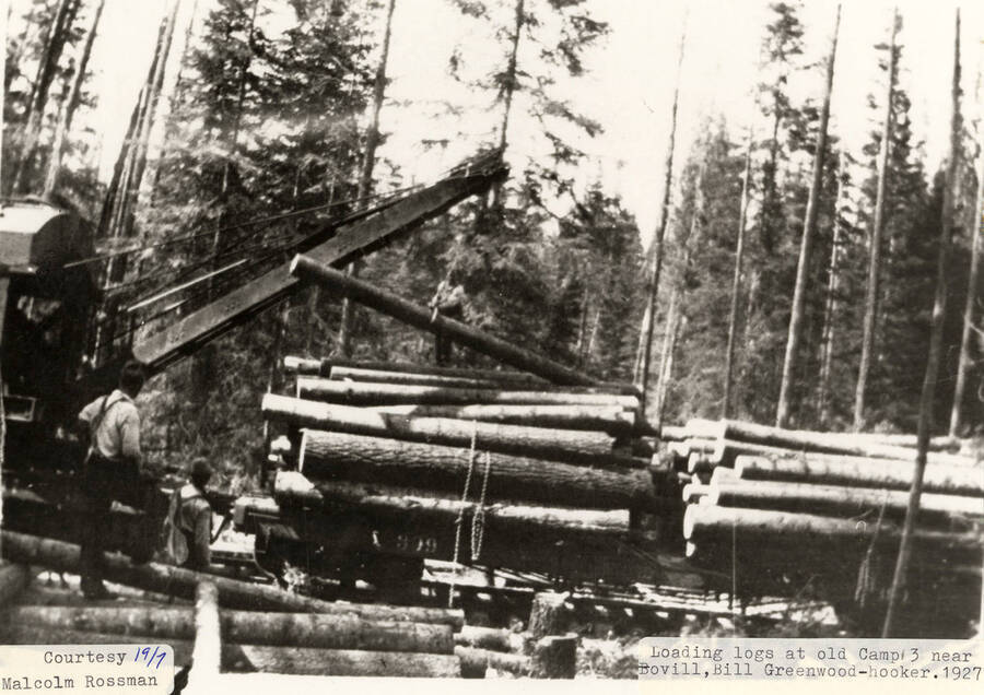 Men using a jammer to load logs onto flat cars at the old Camp 3, which is located near Bovill, Idaho. Bill Greenwood can be seen standing on the stack of the logs, acting as the hooker.