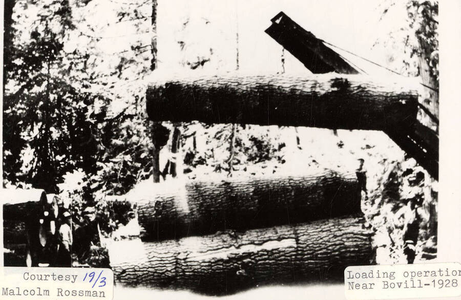 View of a loader stacking a log on a flat car.