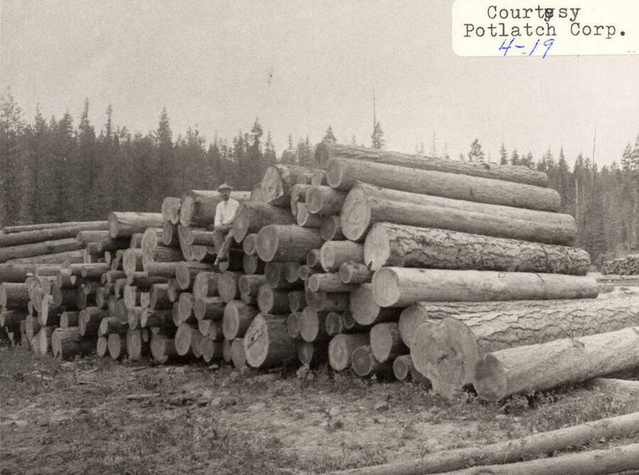 A man sitting amongst a stack of logs.