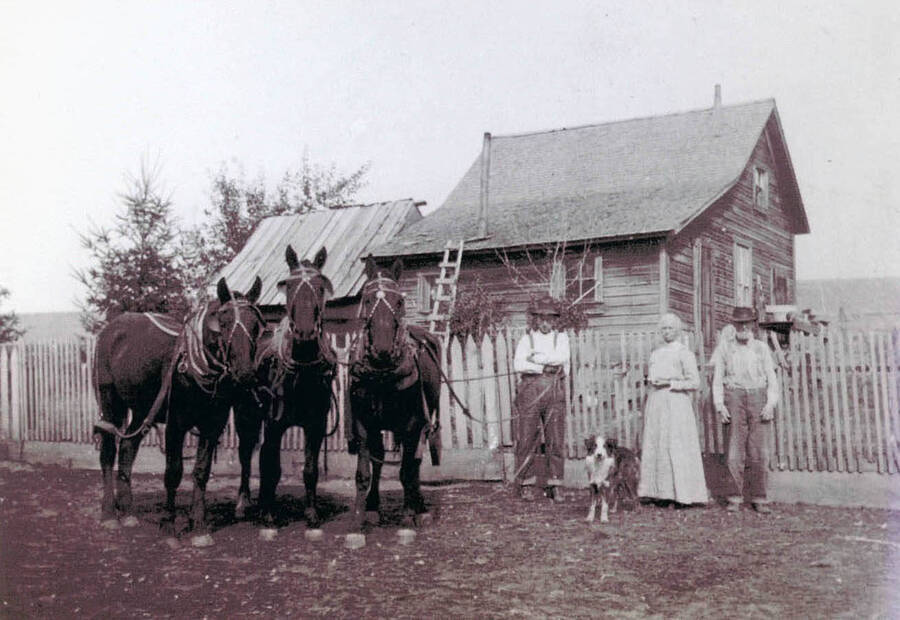 Vern, Jane, and Lyman Clark in front of their homestead. Vern holds the reins to a three horse team.