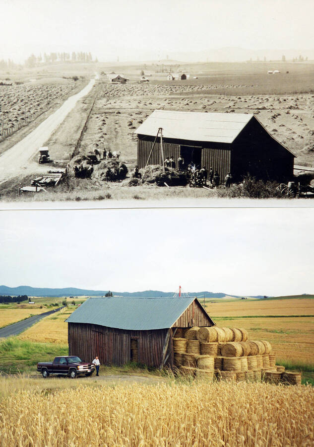 Barn near Freeze Church in northern Latah County. Black and white photo with Bysegger threshing crew, modern photo with Norman Soncarty and his 1997 Chevy truck, taken by Virginia Soncarty.