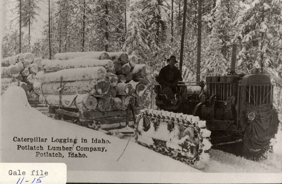 View of a man sitting on top of a tractor that is hauling stacks of logs through the snow.
