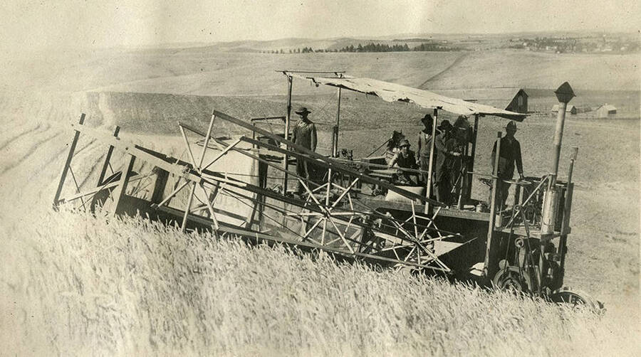Robert W. McKown and his team ride his self-propelling combine up a hill near Garfield, Washington during harvest.