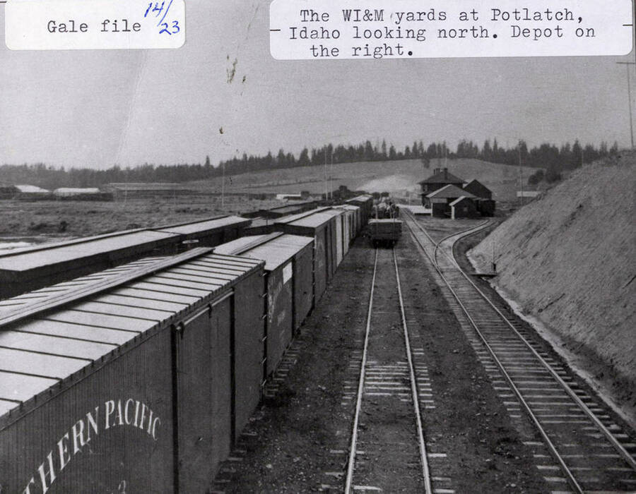 View of the WI&M yards at Potlatch, Idaho, when looking north. Freight and logging trains can be seen pulling up to the depot, which is located on the right.