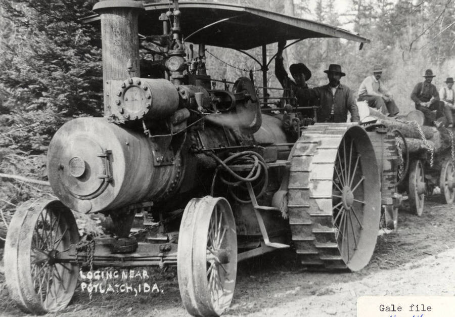 Men sitting on a tractor as it hauls stacks of logs. Men can also be seen sitting on top of the logs.