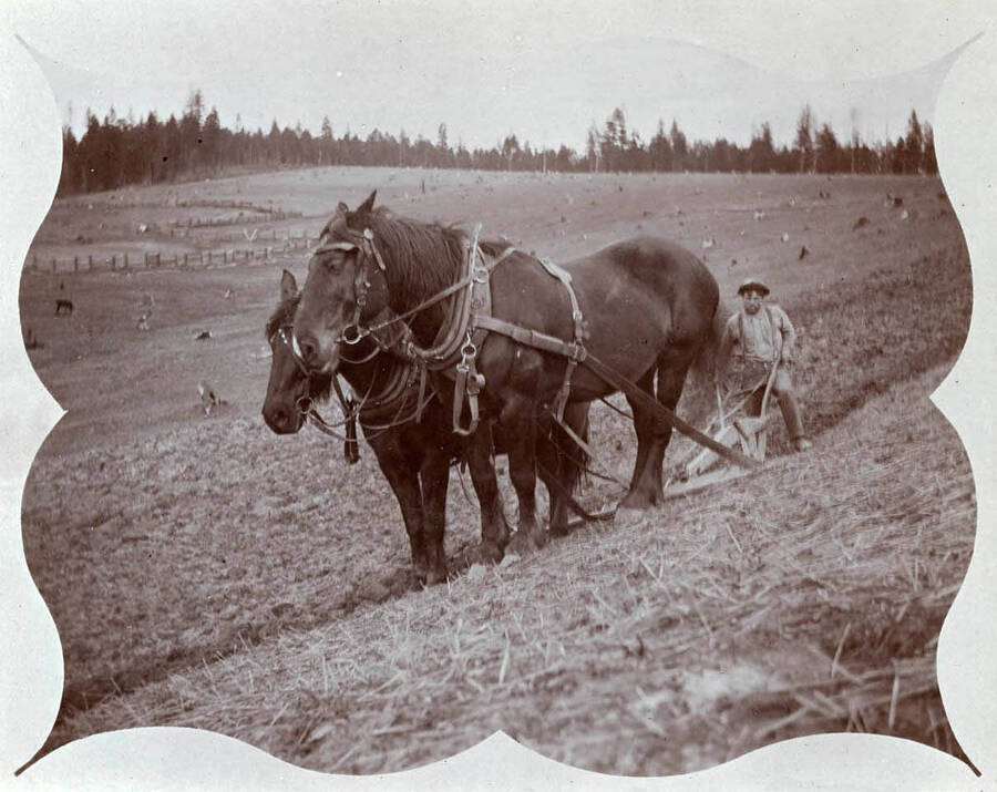 Fred Bysegger plowing with two horse team.