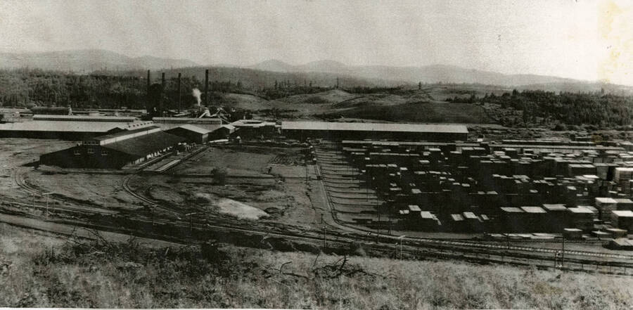 Panoramic photograph of the Potlatch Mill and Lumber Yard.