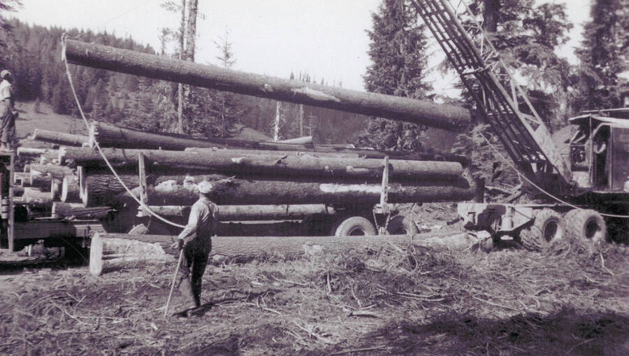 Loading logs onto trucks at Camp 36 logging camp. A man guides the logs down with a rope attached to one end while a crane lowers the log onto the stack.