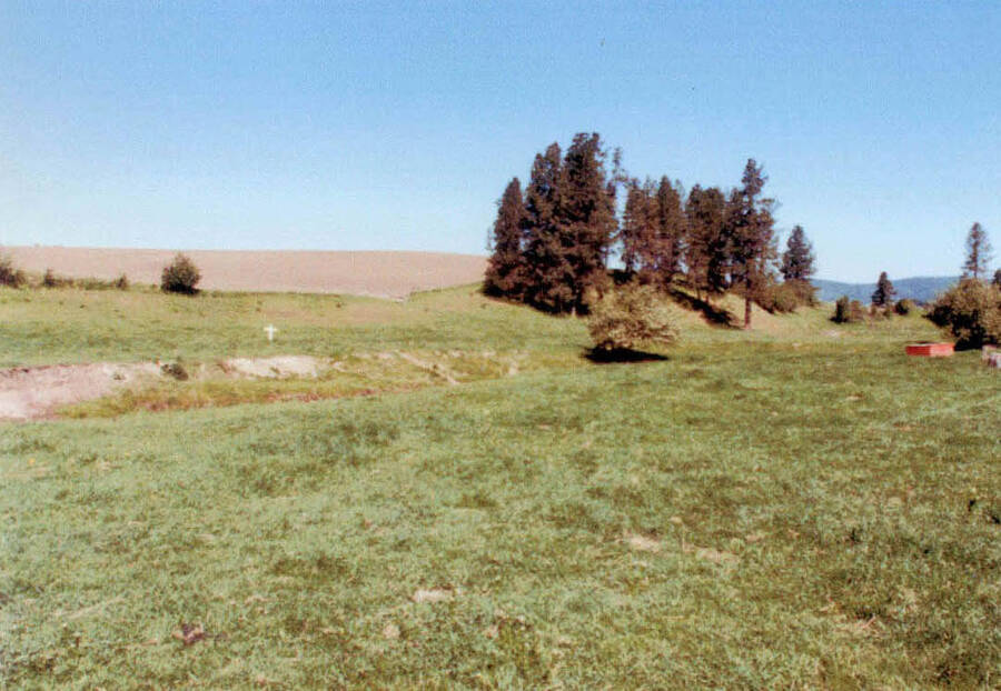 View of the Old Fort on Vic Morris' place, with is northwest of Potlatch Idaho.