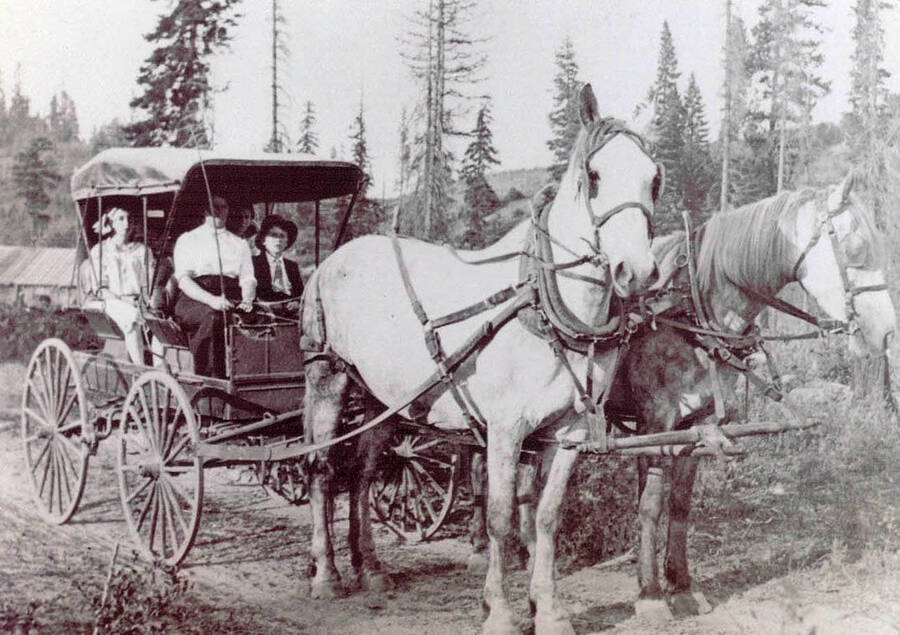 The Kislig family sitting in a carriage behind two horses.