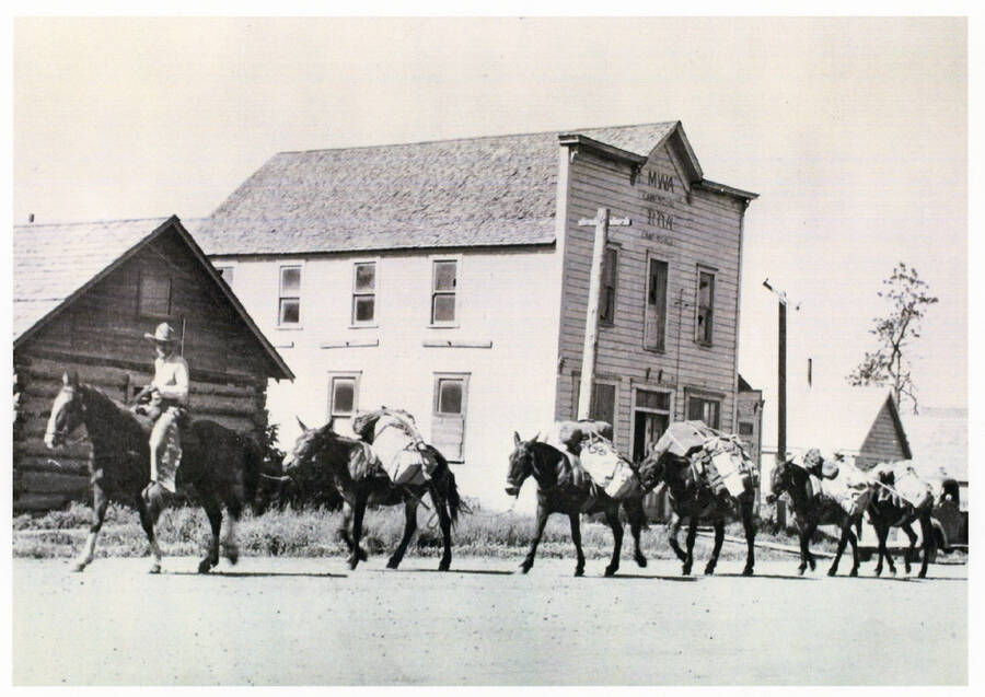 Art Stubbs with mule train in front of the grange in Princeton.
