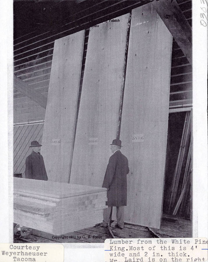 Lumber from the White Pine King, the largest white pine at the time. Most of the lumber was 4' wide and 2 inches thick. Two men can be seen standing next to the lumber. The man on the right is Mr. Laird.