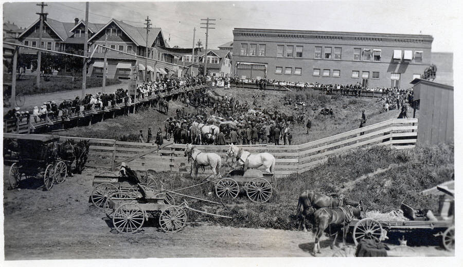 A colt sale carrying on outside the Potlatch mercantile.