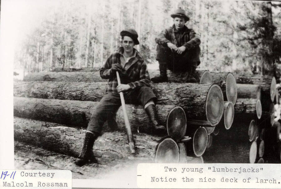 Two young lumberjacks sitting on a stack of logs.