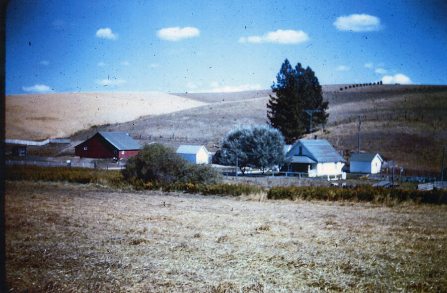 A photograph of Walt Kislig's farm.