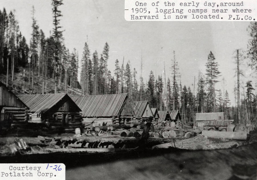 View of a logging camp, that is located where Harvard, Idaho is now Many log cabins can be seen standing in a row.