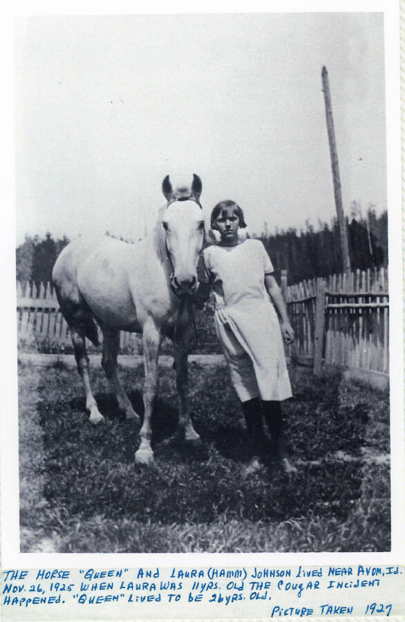 Laura Hamm Johnson with her horse "Queen" near Avon. The caption on the photo references a "cougar incident" which happened on November 26, 1925 when Laura was 11 years old. Queen lived to be 26 years old.