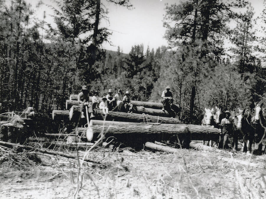 Photograph of an unidentified group of people that includes children and men sitting on a stack of large logs. Another man stands at the right with a team of horses.
