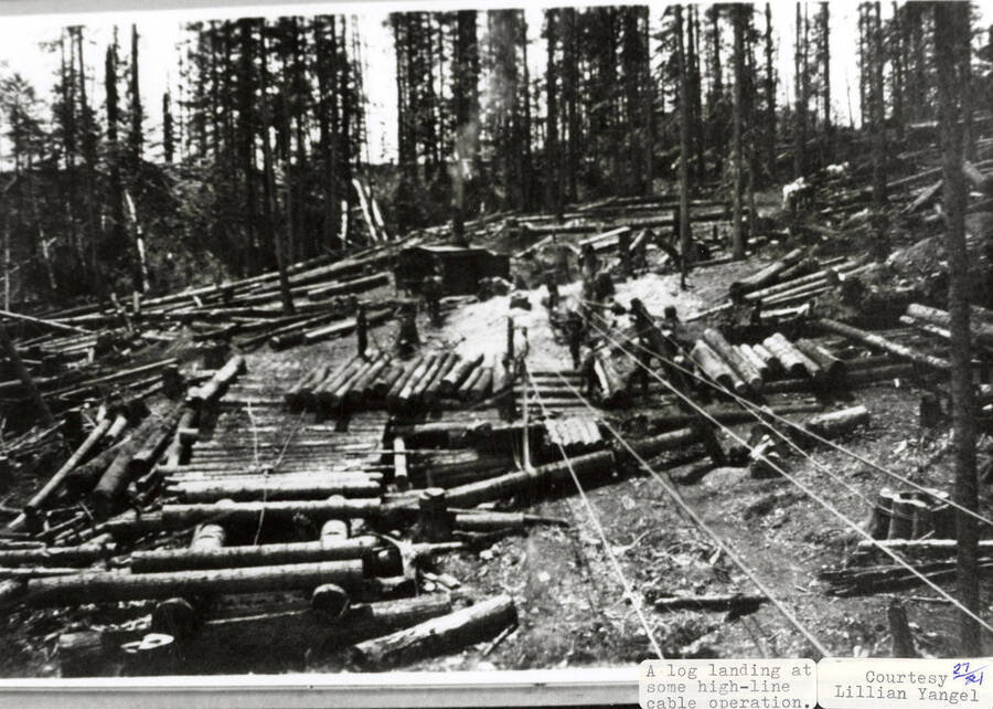 View of a log landing at some high-line cable operations. Men can been seen at the end of the cable system stacking logs.