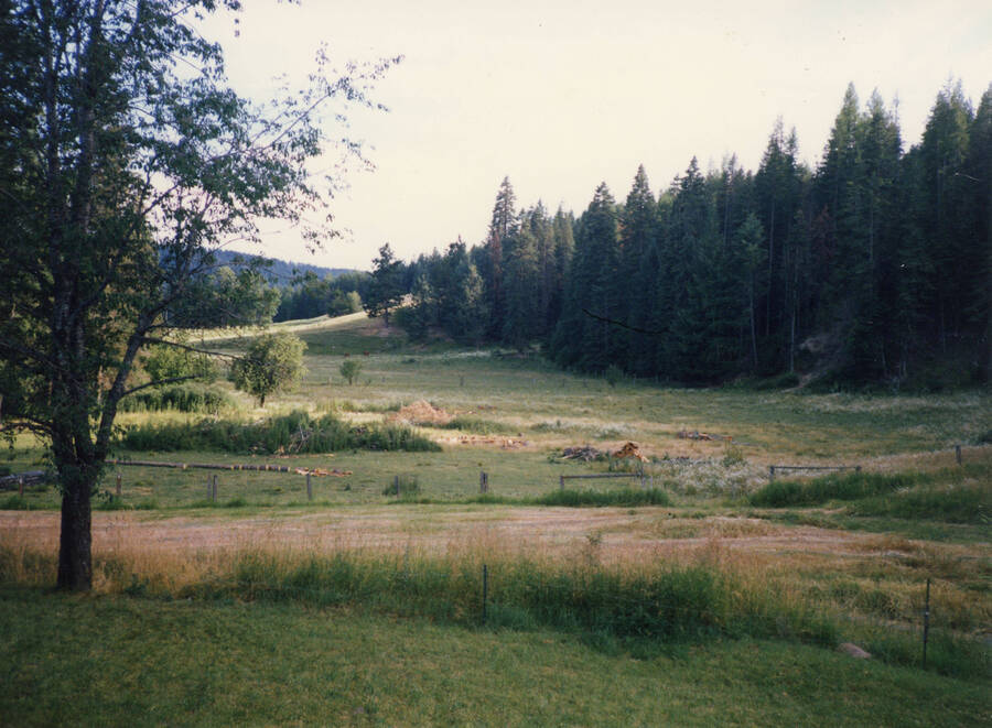 Photograph of the meadow at the Gary E. Strong home. His parents and family lived here from 1949 until 1959 when they built a new house along Highway 95. He bought it back in 1989.