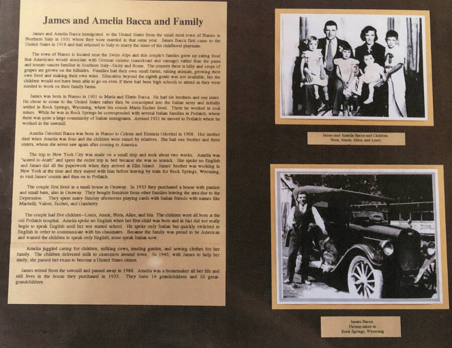 An informational poster on the James and Amelia Bacca family, originally published as part of the Lone Jack Mystery Family Contest.